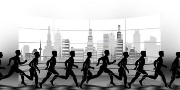 爱游戏ayx-NBA球队赛事安全管理体系建设，nba球队管理系统数据库