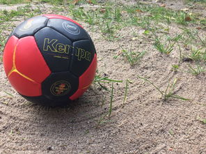 爱游戏全站注册-世界青年手球锦标赛中国队勇夺三连胜，世界手球锦标赛几年一次